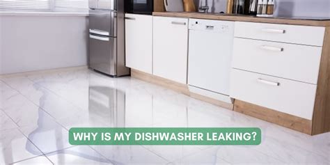 Why Is The Bottom Of My Dishwasher Leaking At Will Erin Blog Why Is The Bottom Of My Dishwasher Leaking At Will Erin Blog