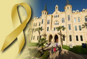 Yellow Ribbon Schools In Texas Yellow Ribbon Yellow Ribbon Schools In Texas Yellow Ribbon